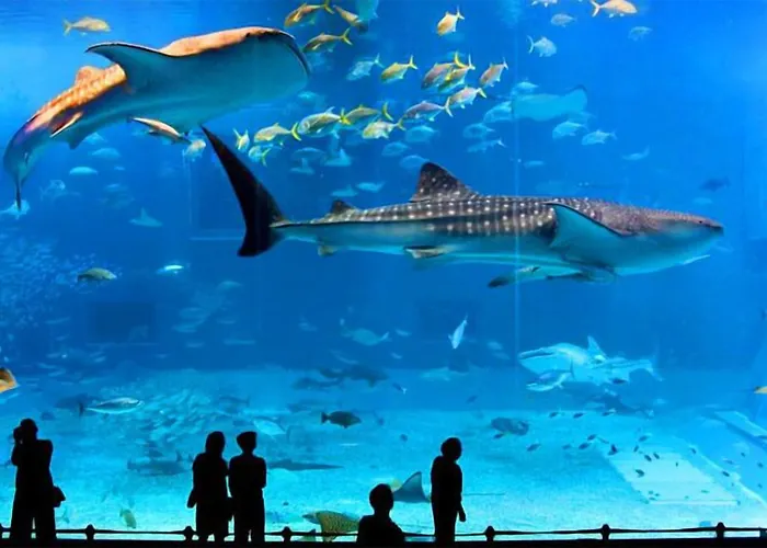 Avcilar Elit Isztambul